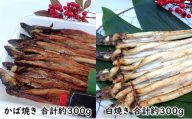 あなご 先行予約 山銀商店 白焼き ・ かば焼き あなご セット （合計約600g) 産地直送 穴子 魚介類 [No.5735-0709]