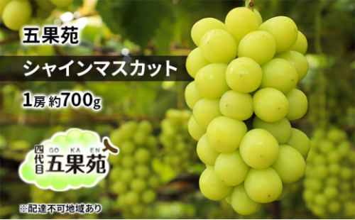 ぶどう 2026年 先行予約 シャイン マスカット 1房 約700g ぶどう フルーツ 果物 贈り物 ギフト 岡山 五果苑 岡山のぶどう 岡山の果物 岡山のフルーツ 産地直送 種なし 皮ごと [No.5735-1860 2626712 - 岡山県瀬戸内市