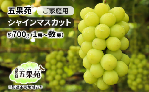 ぶどう 2026年 先行予約 ご家庭用 シャインマスカット 約700g（1房～数房） ぶどう フルーツ 果物 岡山 五果苑 岡山のぶどう 岡山の果物 岡山のフルーツ 産地直送 [No.5735-1864 2626719 - 岡山県瀬戸内市