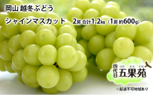 越冬 ぶどう シャイン マスカット 2房 合計1.2kg（1房 約600g）岡山県産 四代目 五果苑 [No.5735-1487 2626727 - 岡山県瀬戸内市