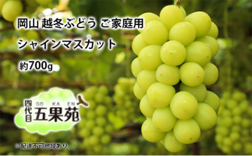 越冬 ぶどう ご家庭用 シャイン マスカット 約700g 岡山県産 四代目 五果苑 [No.5735-1492 2626732 - 岡山県瀬戸内市