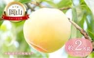 桃 【2026年 先行予約】 晴れの国 おかやま の 白桃 2kg(5玉～7玉) もも モモ 岡山県産 国産 フルーツ 果物 ギフト [No.5735-2129]