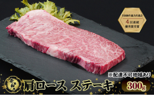 ステーキ 奈義和牛 肩 ロースステーキ 300g 和牛 岡山[No.5735-2029] 2626757 - 岡山県瀬戸内市