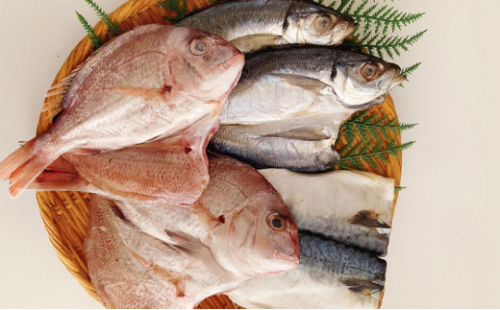 瀬戸内の魚でつくる 干物 6枚入りBOX [No.5735-1939] 2626775 - 岡山県瀬戸内市