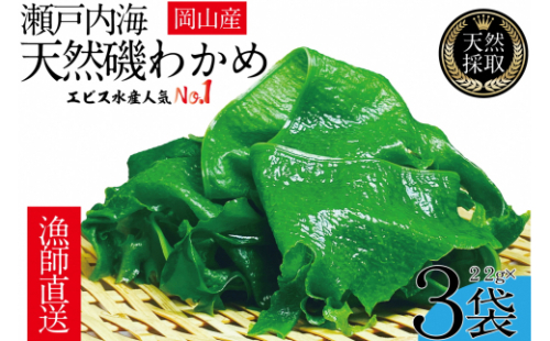 風味豊かな 瀬戸内 わかめ 22g×3袋 エビス水産【岡山 瀬戸内海 天然 カットわかめ】 2626795 - 岡山県瀬戸内市