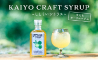 KAIYO CRAFT SYRUP ～ししくいシトラス～  すだちホーリーバジル  手作り 有機シュガー 添加物不使用