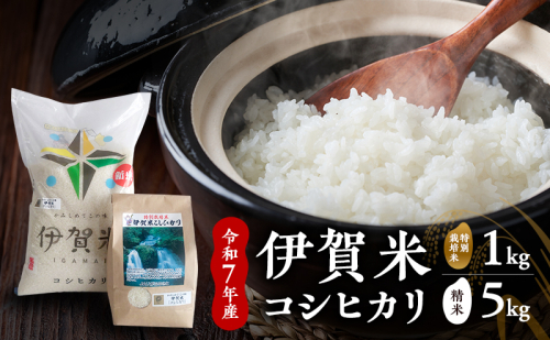 【精米】令和7年産　伊賀米コシヒカリ　5kg+特別栽培米1kg　お米 米 白米 こしひかり ごはん 三重県 名張市 2626854 - 三重県名張市