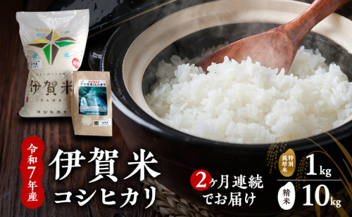 【精米】令和7年産　伊賀米コシヒカリ　10kg+特別米1kg（２ヶ月連続）　お米 米 白米 こしひかり ごはん 三重県 名張市 2626857 - 三重県名張市