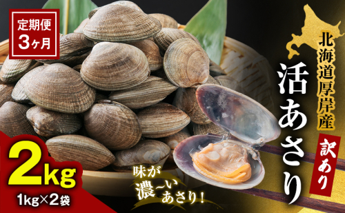 【3カ月 定期便 】訳あり 北海道 厚岸産 砂出し済み 活あさり 1kg×2 (合計2kg) 【厚岸海産】[ アサリ 魚貝 海鮮 大粒 美味しい 栄養 旨み 砂出し 水洗い 冷蔵 便利 ] 2626882 - 北海道厚岸町