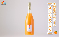 真穴産みかんジュース「SUNSUN」＜A18-10＞【1512798】 YWTA006