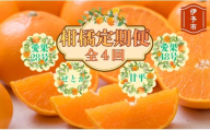 【2026年先行予約】柑橘定期便 全4回 【12月から順次発送予定】 約1.8kg みかん 愛果28号 せとか 甘平 愛果48号 柑橘 定期 数量限定 人気 愛媛 伊予市｜E38