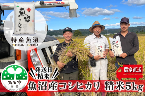 令和7年産 農家直送！ 魚沼産 コシヒカリ 精米 5kg （ 米 こしひかり お米 こめ コメ 魚沼産コシヒカリ 魚沼 新潟 魚沼産こしひかり おこめ 白米 ） 新潟県  2627018 - 新潟県魚沼市