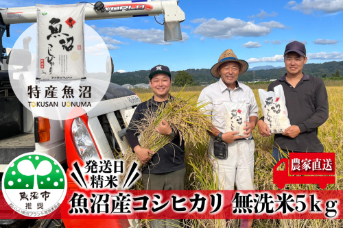 令和7年産 農家直送！ 魚沼産 コシヒカリ 無洗米 5kg （ 米 こしひかり お米 こめ コメ 魚沼産コシヒカリ 魚沼 新潟 魚沼産こしひかり おこめ 白米 精米 ）  2627019 - 新潟県魚沼市
