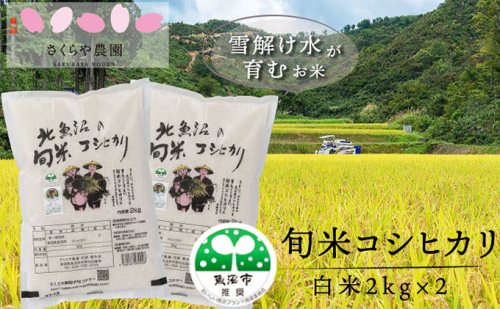 令和8年産 魚沼の旬米 コシヒカリ 【精米】２kg×2 お米 2627028 - 新潟県魚沼市