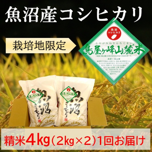 令和7年産 魚沼コシヒカリ 鳥屋ヶ峰山麓米(精米)４kg(2kg×2) お米  2627035 - 新潟県魚沼市