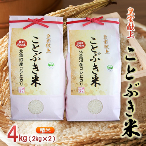 令和7年産 皇室献上 ことぶき米（精米）4kg（2kg×2） お米  2627037 - 新潟県魚沼市