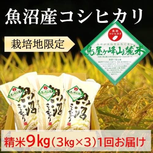 令和7年産 魚沼コシヒカリ 鳥屋ヶ峰山麓米(精米)９kg(3kg×3) お米  2627060 - 新潟県魚沼市