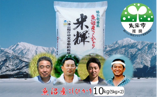 令和7年産【新潟県認証・特別栽培米】魚沼産こしひかり(精米)１０kg(5kg×2) お米 コシヒカリ  2627062 - 新潟県魚沼市