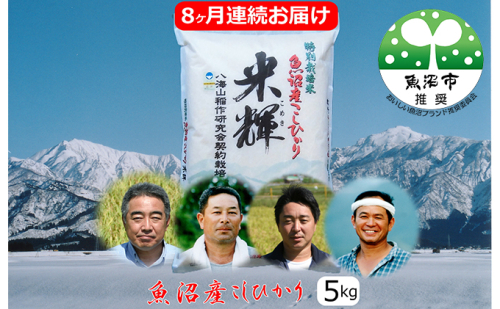 新潟県認証【特別栽培米】魚沼産こしひかり 5kg 8ヶ月連続お届け お米 コシヒカリ  2627183 - 新潟県魚沼市