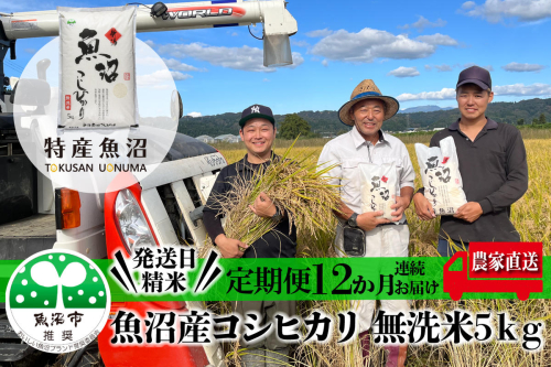 無洗米 定期便 12ヶ月 コシヒカリ 5kg 米 白米 お米 魚沼産コシヒカリ 新潟米 新潟 魚沼市 定期 12回 2627203 - 新潟県魚沼市