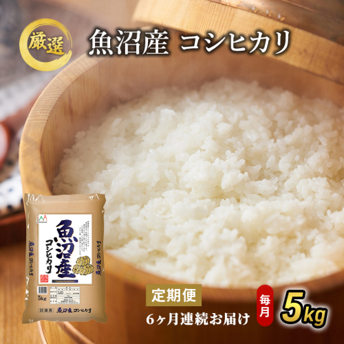 魚沼産 コシヒカリ 5kg 6ヶ月 連続お届け ( 米 定期便 お米 こめ コメ おこめ 白米 こしひかり 6回 30kg お楽しみ )  2627220 - 新潟県魚沼市