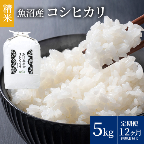 米農家自慢の魚沼産コシヒカリ(精米)5kg×1袋 12ヶ月連続お届け ( 米 お米 こめ コメ おこめ 白米 こしひかり お楽しみ ) 新潟県  2627253 - 新潟県魚沼市