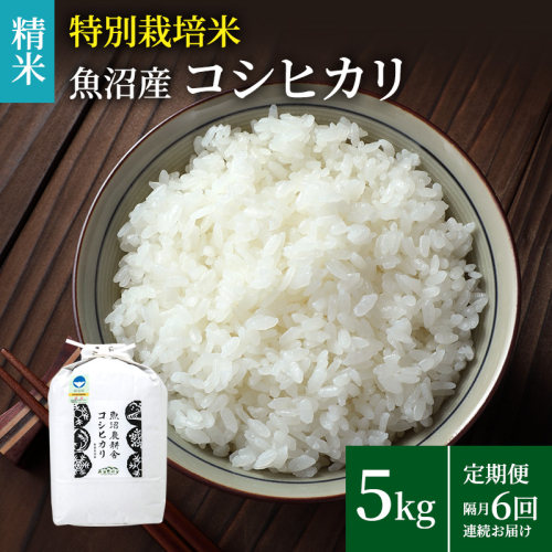 米農家自慢の特別栽培米魚沼産コシヒカリ（精米）5kg×1袋 隔月全6回お届け お米  2627256 - 新潟県魚沼市