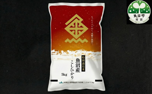【特別栽培米】魚沼産コシヒカリ（精米）5kg 2627264 - 新潟県魚沼市