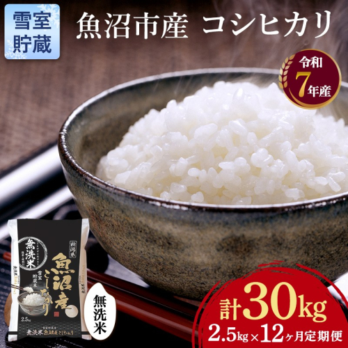 雪室貯蔵 魚沼産 コシヒカリ 無洗米 2.5kg 12ケ月 連続お届け ( 米 定期便 お米 こめ コメ おこめ 白米 こしひかり 12回 30kg お楽しみ ) 新潟県  2627289 - 新潟県魚沼市