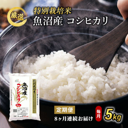特別栽培米 お米アドバイザー厳選 魚沼産 コシヒカリ 精米 5kg 8ヶ月 連続（ 米 定期便 こしひかり 特別栽培 魚沼 精米 お米 定期 新潟 魚沼産コシヒカリ 魚沼産こしひかり こめ お楽しみ 8回 ） 2627361 - 新潟県魚沼市