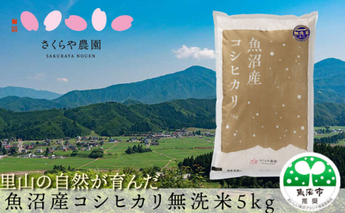 令和8年産 さくらや農園 魚沼産コシヒカリ 無洗米5kg お米  2627376 - 新潟県魚沼市