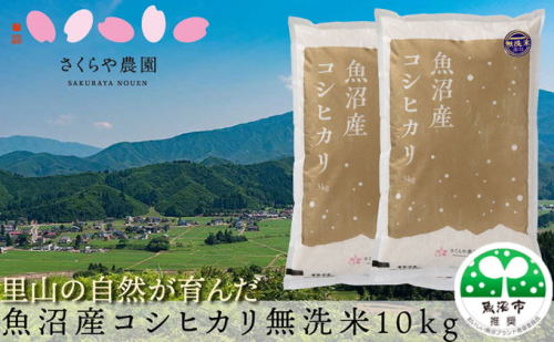 令和8年産 さくらや農園 魚沼産コシヒカリ 無洗米10kg（5kg×2袋） お米  2627379 - 新潟県魚沼市