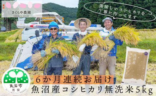 【定期便】さくらや農園 魚沼産コシヒカリ 無洗米5kg 6ヶ月連続お届け お米  2627380 - 新潟県魚沼市