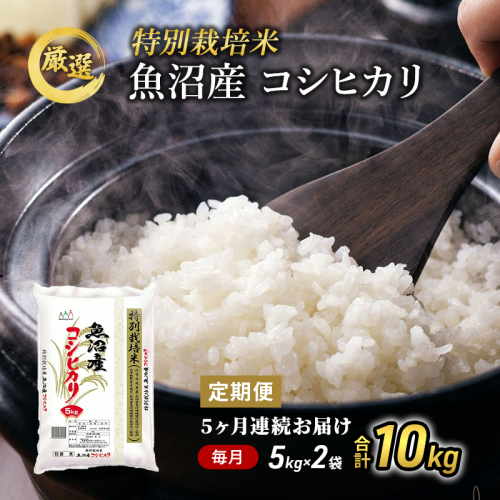 【特別栽培米】お米アドバイザー厳選 魚沼産コシヒカリ（精米）10kg（5kg×2）5ヶ月連続  2627387 - 新潟県魚沼市