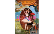 「リーズの結婚～ラ・フィーユ・マル・ガルデ～（全幕）」6月13日（土）19：00開演 S席チケット1枚 鑑賞 バレエ 舞台 英国流 ユーモア ロングラン 名作[№5338-0504]