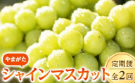 やまがたシャインマスカット定期便（全2回） FSY-2816