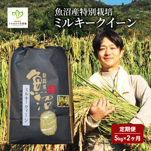 魚沼産 特別栽培 ミルキークィーン 5kg 2ヶ月 連続お届け （ 米 定期便 精米 白米 お米 こめ コメ 魚沼産コシヒカリ こしひかり 魚沼 半年 6回 お楽しみ ）  2627492 - 新潟県魚沼市