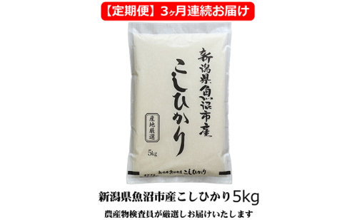 農産物検査員お奨め 魚沼産こしひかり（精米）5kg 3ヶ月連続お届け お米 コシヒカリ  2627498 - 新潟県魚沼市