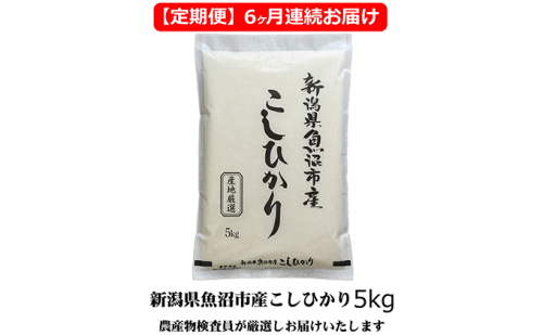 農産物検査員お奨め 魚沼産こしひかり （精米） 5kg 6ヶ月 連続お届け （ 米 定期便 コシヒカリ 魚沼産 精米 白米 お米 こめ コメ こしひかり 魚沼 半年 6回 お楽しみ ）  2627499 - 新潟県魚沼市