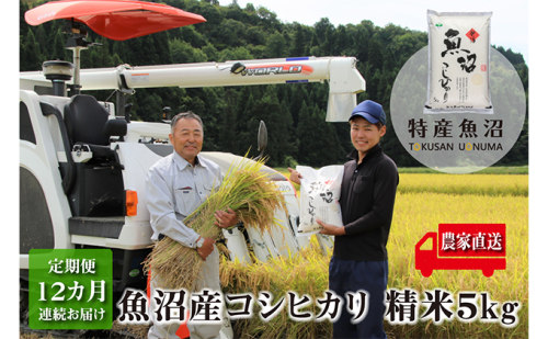 米 定期便 12ヶ月 コシヒカリ 5kg 精米 白米 お米 魚沼産コシヒカリ 新潟米 新潟 魚沼市 定期 12回 2627501 - 新潟県魚沼市