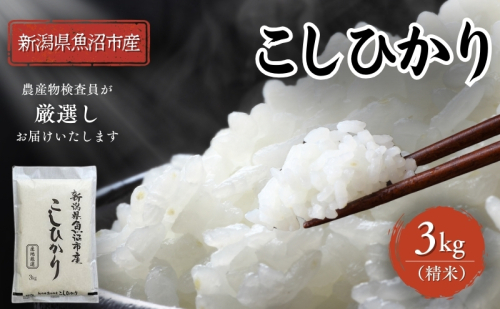 令和7年産 農産物検査員お奨め 魚沼産こしひかり（精米）3kg お米 コシヒカリ  2627503 - 新潟県魚沼市