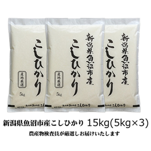 令和7年産 農産物検査員お奨め 魚沼産こしひかり（精米）15kg（5kg×3） お米 コシヒカリ  2627505 - 新潟県魚沼市