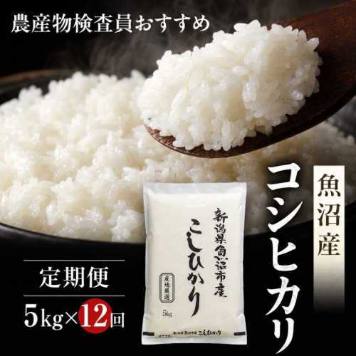 農産物検査員お奨め 魚沼産 こしひかり 精米 5kg 12ヶ月 連続お届け （ 米 定期便 コシヒカリ お米 定期 新潟 魚沼 魚沼産コシヒカリ 魚沼産こしひかり こめ コメ おこめ 白米 お楽しみ 12回 ） 新潟県  2627506 - 新潟県魚沼市
