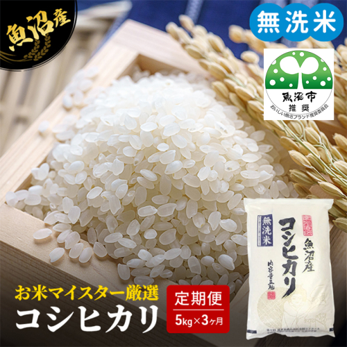 無洗米 定期便 3ヶ月 コシヒカリ 5kg 米 白米 お米 魚沼産コシヒカリ 新潟米 新潟 魚沼市 定期 3回 2627509 - 新潟県魚沼市