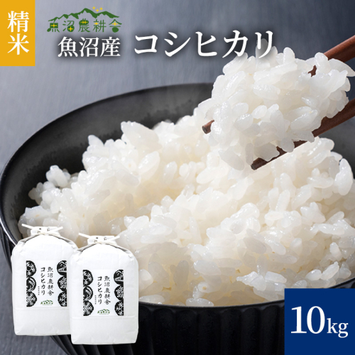 令和8年産 米農家自慢の 魚沼産 コシヒカリ（精米）10kg（5kg×2袋） お米  2627519 - 新潟県魚沼市