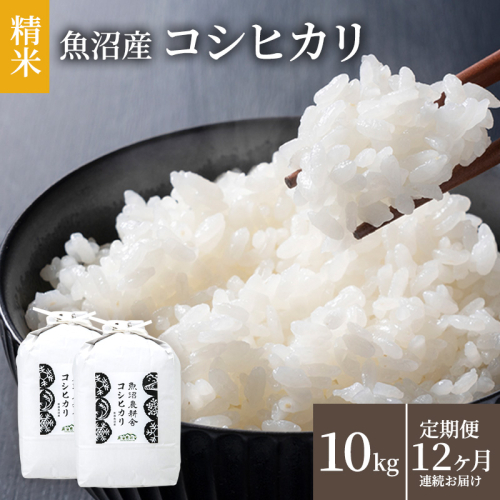 米 定期便 12ヶ月 コシヒカリ 10kg 精米 白米 お米 魚沼産コシヒカリ 新潟米 新潟 魚沼市 定期 12回 2627520 - 新潟県魚沼市