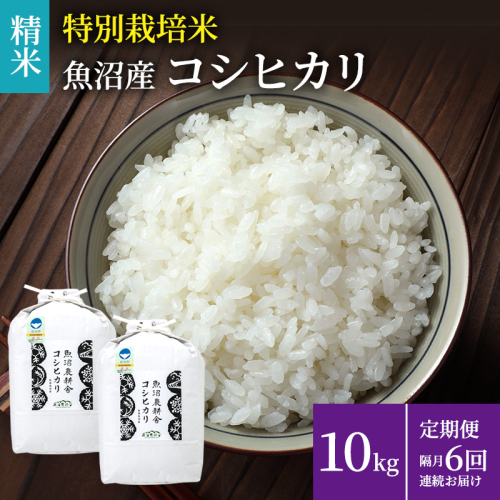 米農家自慢の特別栽培米魚沼産コシヒカリ(精米)10kg(5kg×2袋) 隔月 全6回お届け お米  2627524 - 新潟県魚沼市