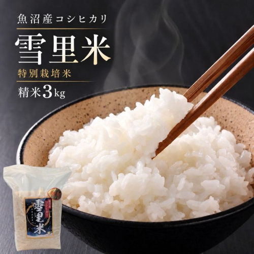 令和8年産 生産者直送！魚沼産コシヒカリ 雪里米（ふるさとまい）精米 3kg お米 新潟県産  2627550 - 新潟県魚沼市