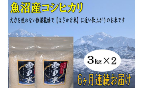 生産者直送！魚沼産コシヒカリ【雪里米 ふるさとまい】 精米3kg×2 6ヶ月連続お届け お米 ライス ご飯 主食 新潟県産 産地直送 定期便 半年 6回  2627599 - 新潟県魚沼市