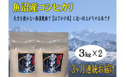 生産者直送！魚沼産コシヒカリ【雪里米 ふるさとまい】 精米3kg×2 3ヶ月連続お届け お米 ライス ご飯 主食 新潟県産 産地直送 定期便 3回  2627602 - 新潟県魚沼市